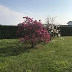 Il Salice 3* Novara