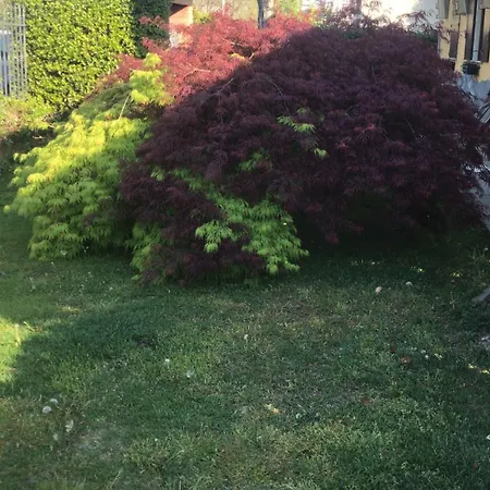 בית הארחה Il Salice