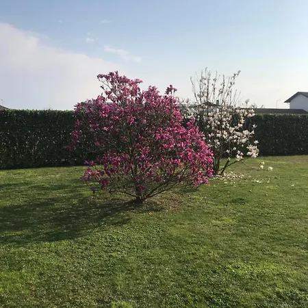 Il Salice 3* Novara
