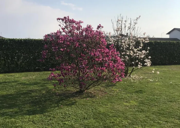 Il Salice 3* Novara